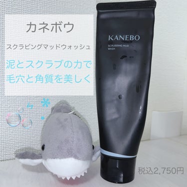 🫧 ͛.*  KANEBO スクラビングマッドウォッシュ   ͛.*🫧

※カネボウ公式サイトにて6/5~7/7までキャンペーン中みたいです(*˙˙)

毛穴づまりと頬のカサつきが気になったため購入。
