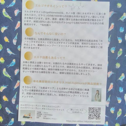 ボタニカルシャンプー /トリートメント トリートメント/エルゴクリーン・ティー /シャンプー・コンディショナーの画像