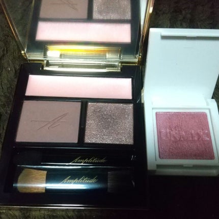 コンスピキュアス アイズ/Amplitude/アイシャドウパレットを使ったクチコミ(1枚目)