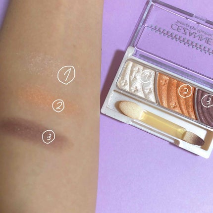 トーンアップアイシャドウ/CEZANNE/アイシャドウパレットを使ったクチコミ(2枚目)