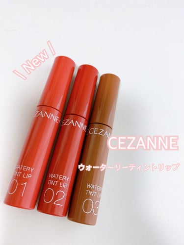 #CEZANNE 新作リップ購入𓂃 𓈒𓏸

1/21発売 各600円(税抜)

発売前から色んな所で噂になっていた#ウォータリーティントリップ💄

01 ナチュラルピンク 
女性らしい華やかな印象になる