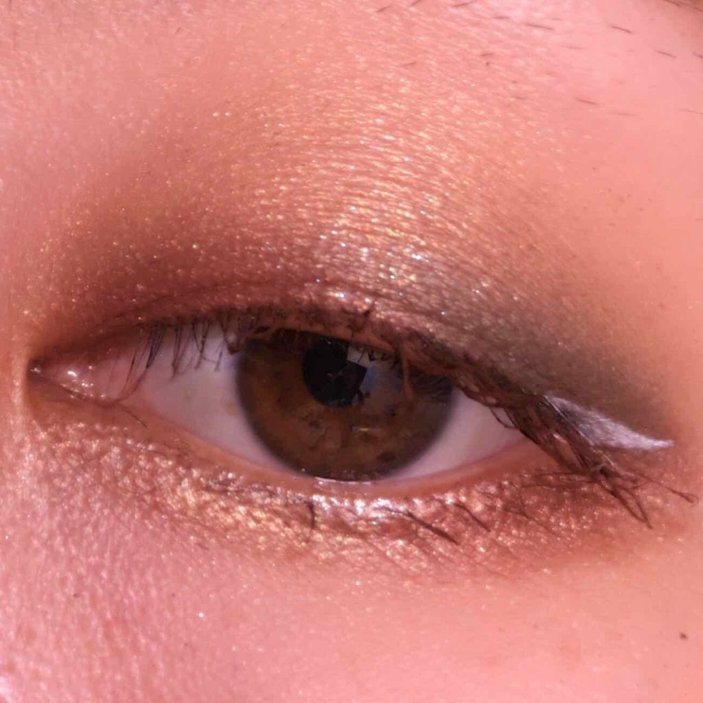 アイカラー ウィンド/エレガンス クルーズ/単色アイシャドウを使ったクチコミ（1枚目）