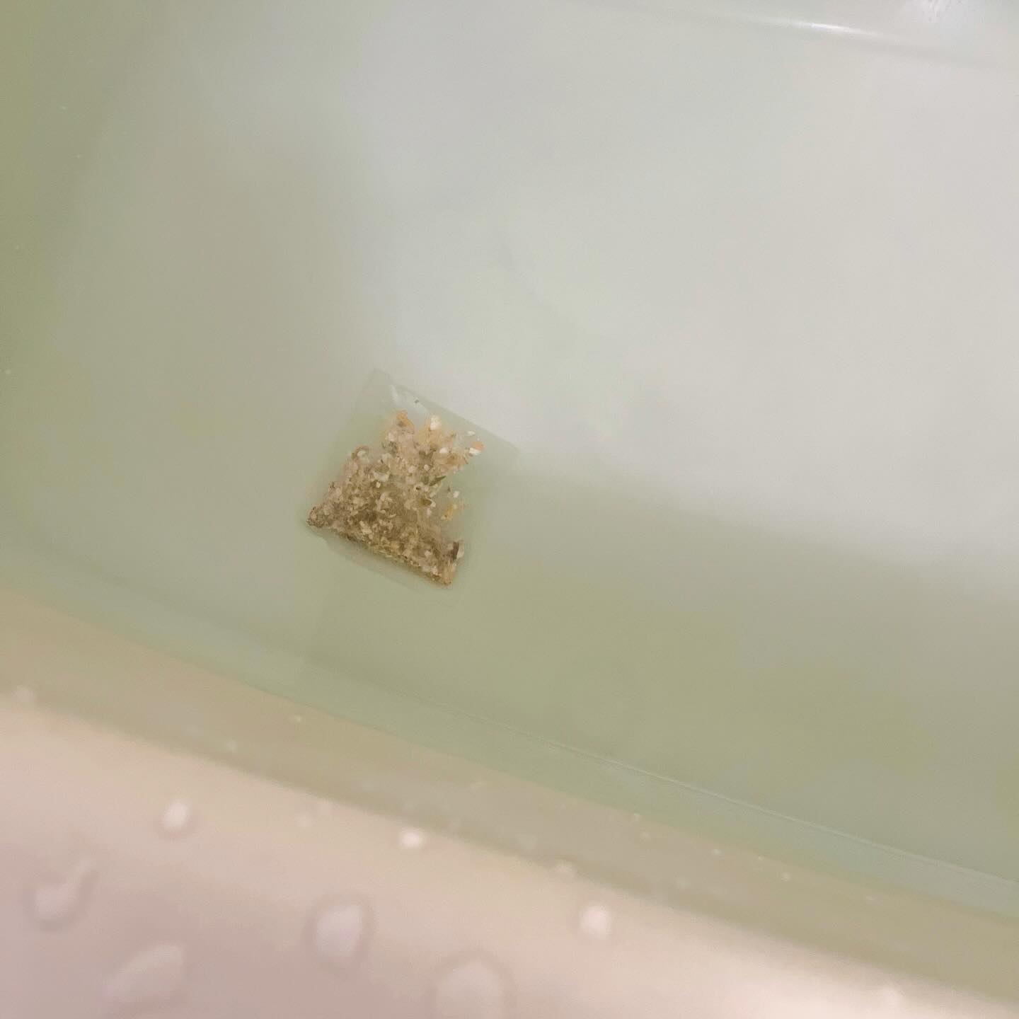 ハーブバスソルト マリーゴールド&ジンジャー/アロマブルーム/保湿系入浴剤を使ったクチコミ（3枚目）