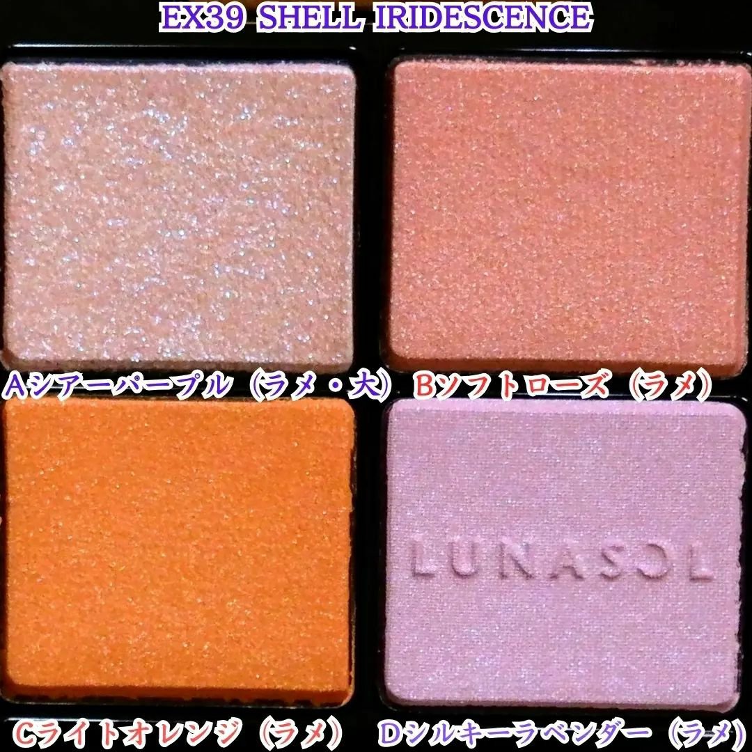 アイカラーレーション/LUNASOL/アイシャドウパレットを使ったクチコミ（2枚目）