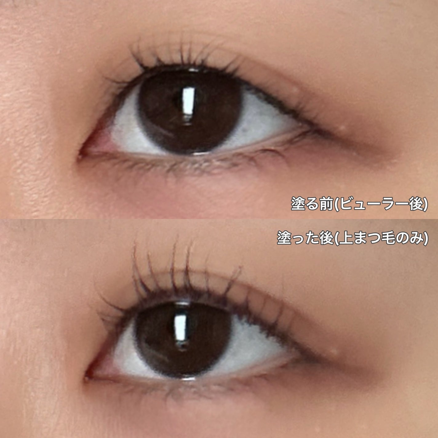 耐久カールマスカラ/CEZANNE/マスカラを使ったクチコミ(2枚目)