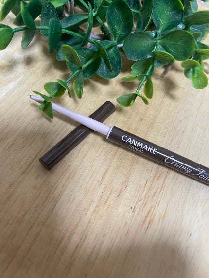 クリーミータッチライナー/キャンメイク/ジェルアイライナーを使ったクチコミ(1枚目)