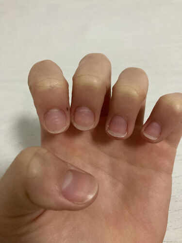 クイックケアコート Ettusaisを使った口コミ どうもっからしです 今回は 私がコンプレッ By からしちゃん Lips