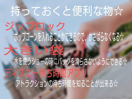 ぺんぺん on LIPS 「今回は前回に引き続きディズニーです!持ち物紹介と知っておくとい..」(4枚目)