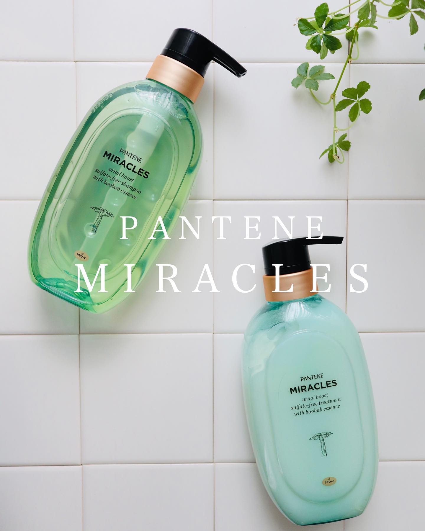 ミラクルズ うるおいブースト シャンプー/トリートメント シャンプー 440g/パンテーン/市販シャンプーを使ったクチコミ（1枚目）