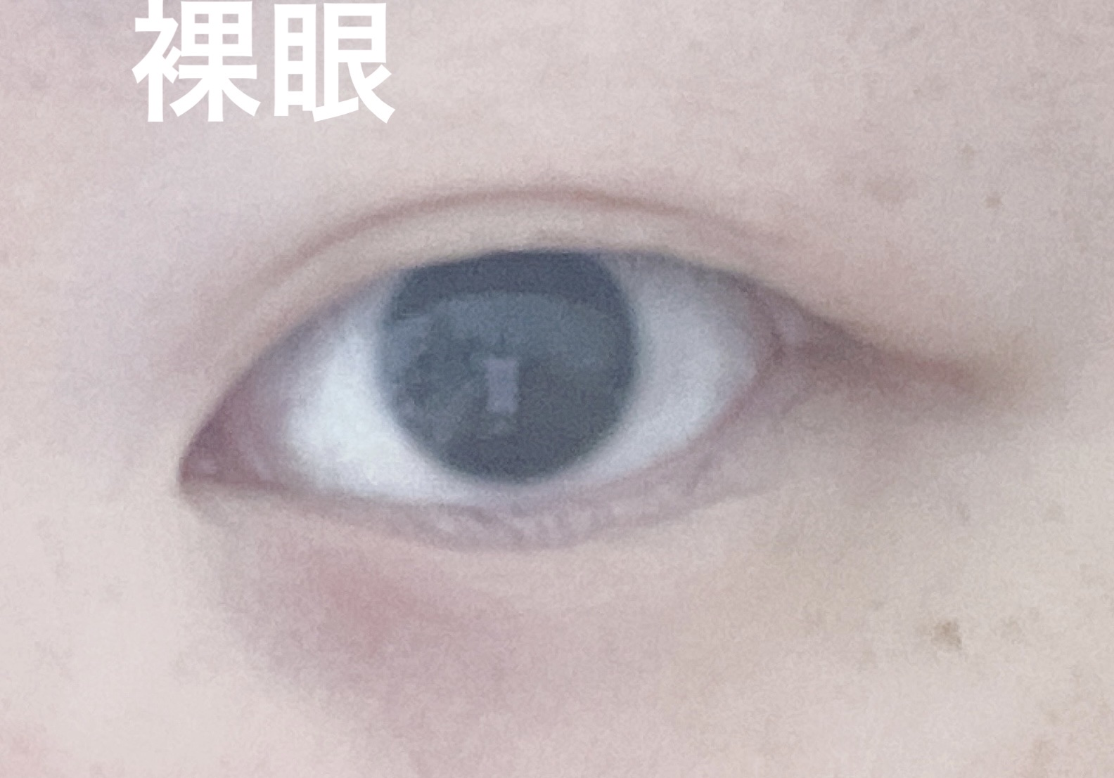 TeAmo 1month Lacy Brown/TeAmo/１ヶ月（１MONTH）カラコンを使ったクチコミ（3枚目）