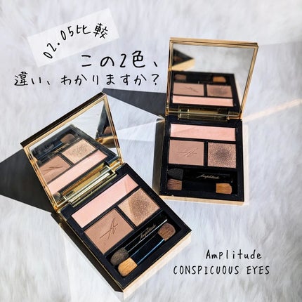 コンスピキュアス アイズ/Amplitude/アイシャドウパレットを使ったクチコミ(1枚目)