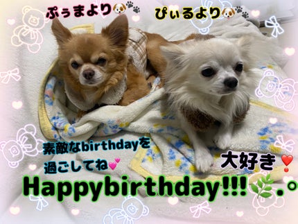 カラフルネイルズ/キャンメイク/マニキュアを使ったクチコミ(6枚目)