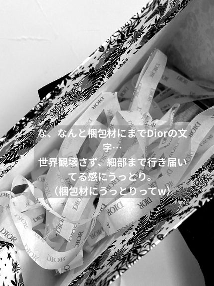 【旧】ディオール アディクト リップ マキシマイザー/Dior/リップグロスを使ったクチコミ(3枚目)