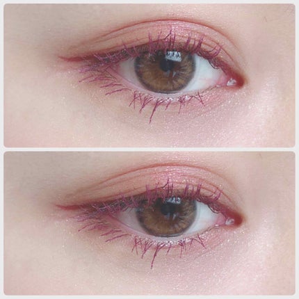 セルフィーフィックスピグメント/Witch's Pouch/単色アイシャドウを使ったクチコミ(1枚目)