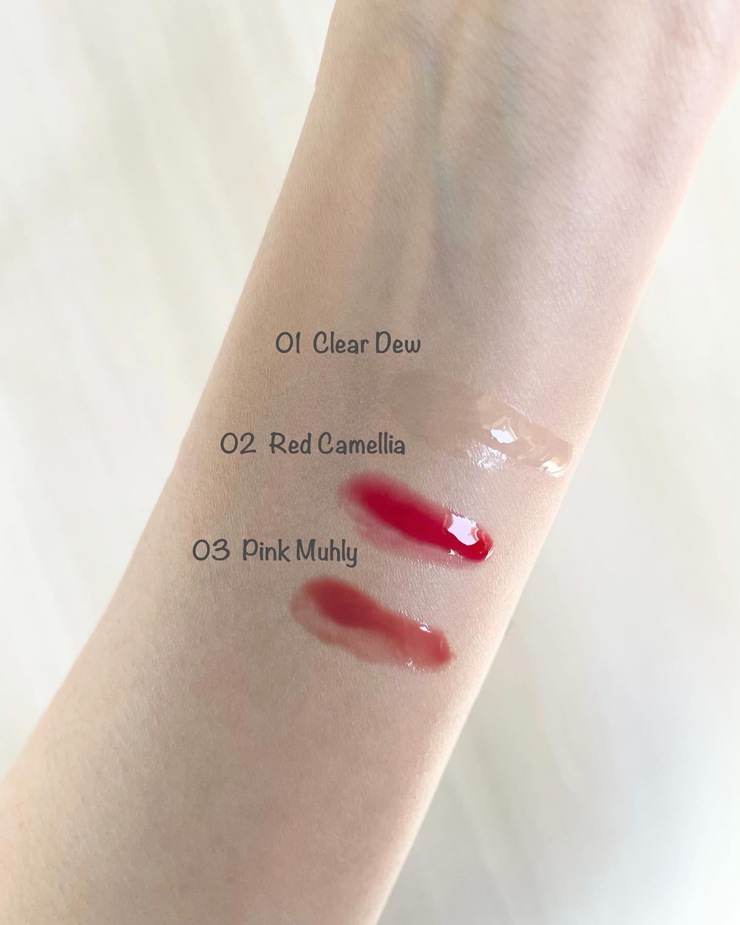 ナチュラルブルームリップオイルセラム 3色セット/PINATE/リップグロスを使ったクチコミ（2枚目）