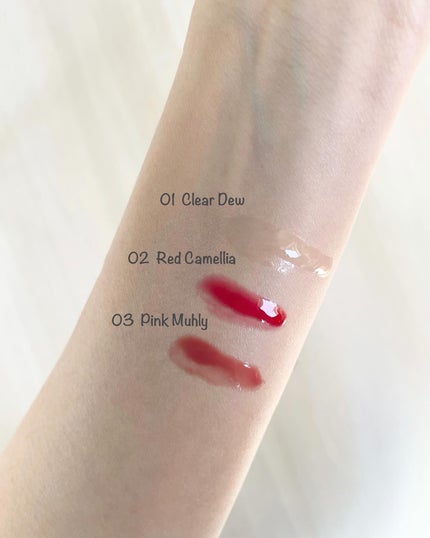 ナチュラルブルームリップオイルセラム 3色セット/PINATE/リップグロスを使ったクチコミ(2枚目)