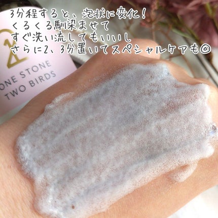 洗顔だけじゃない+パックもできる洗顔料/ONE STONE TWO BIRDS/その他洗顔料を使ったクチコミ(4枚目)