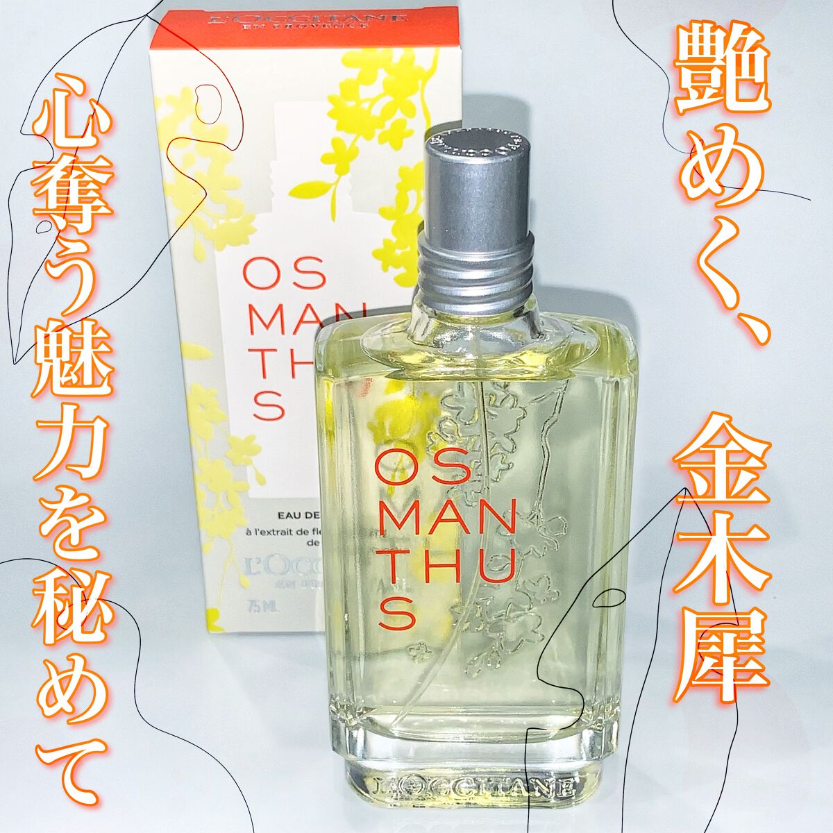 オスマンサス オードトワレ/L'OCCITANE/香水(レディース)を使ったクチコミ(1枚目)