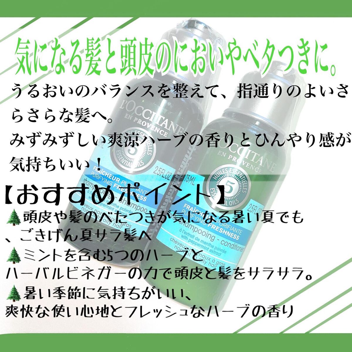 ファイブハーブス ピュアフレッシュネス シャンプー／コンディショナー/L'OCCITANE/市販シャンプーを使ったクチコミ（2枚目）