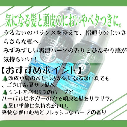 L'OCCITANE ファイブハーブス ピュアフレッシュネス シャンプー/コンディショナーのクチコミ「みなさんこんにちは、NNNです🌿
今回はロクシタンさんから、
ファイブハーブスピュアフレッシ.....」(2枚目)