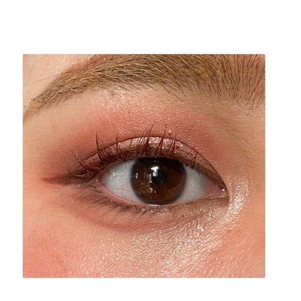 プロ ブラッシャー パレット/CLIO/パウダーチークを使ったクチコミ(1枚目)