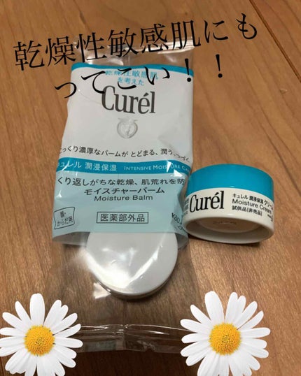 モイスチャーバーム ジャー/キュレル/フェイスクリームを使ったクチコミ(1枚目)