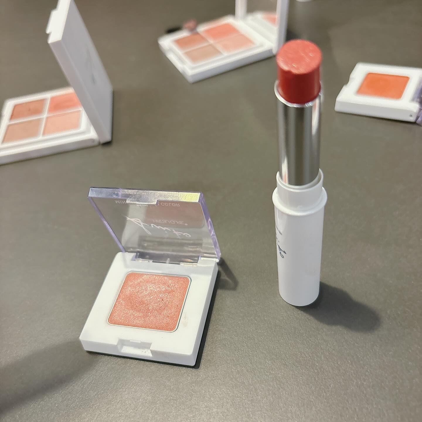 メイクアップベースパレット 01/SUIKO HATSUCURE/パレットコンシーラーを使ったクチコミ（3枚目）