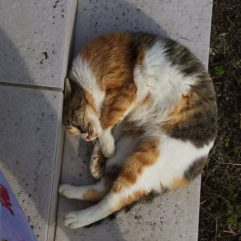 ルージュ ディオール ウルトラ リキッド/Dior/口紅を使ったクチコミ（3枚目）