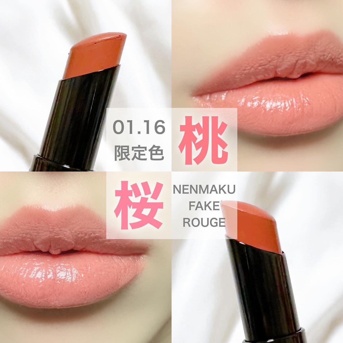 ネンマクフェイク ルージュ/Visée/口紅を使ったクチコミ(1枚目)