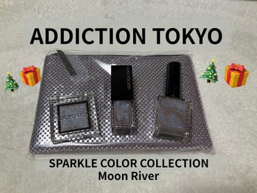 スパークルカラーコレクション ムーンリバー /ADDICTION/メイクアップキットを使ったクチコミ（1枚目）