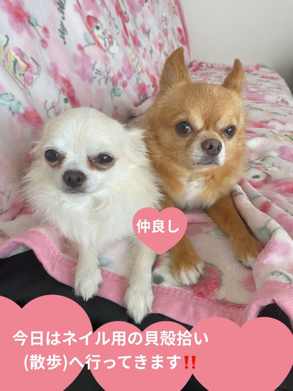 デザイニングブラウンアイズ/KATE/アイシャドウパレットを使ったクチコミ(5枚目)