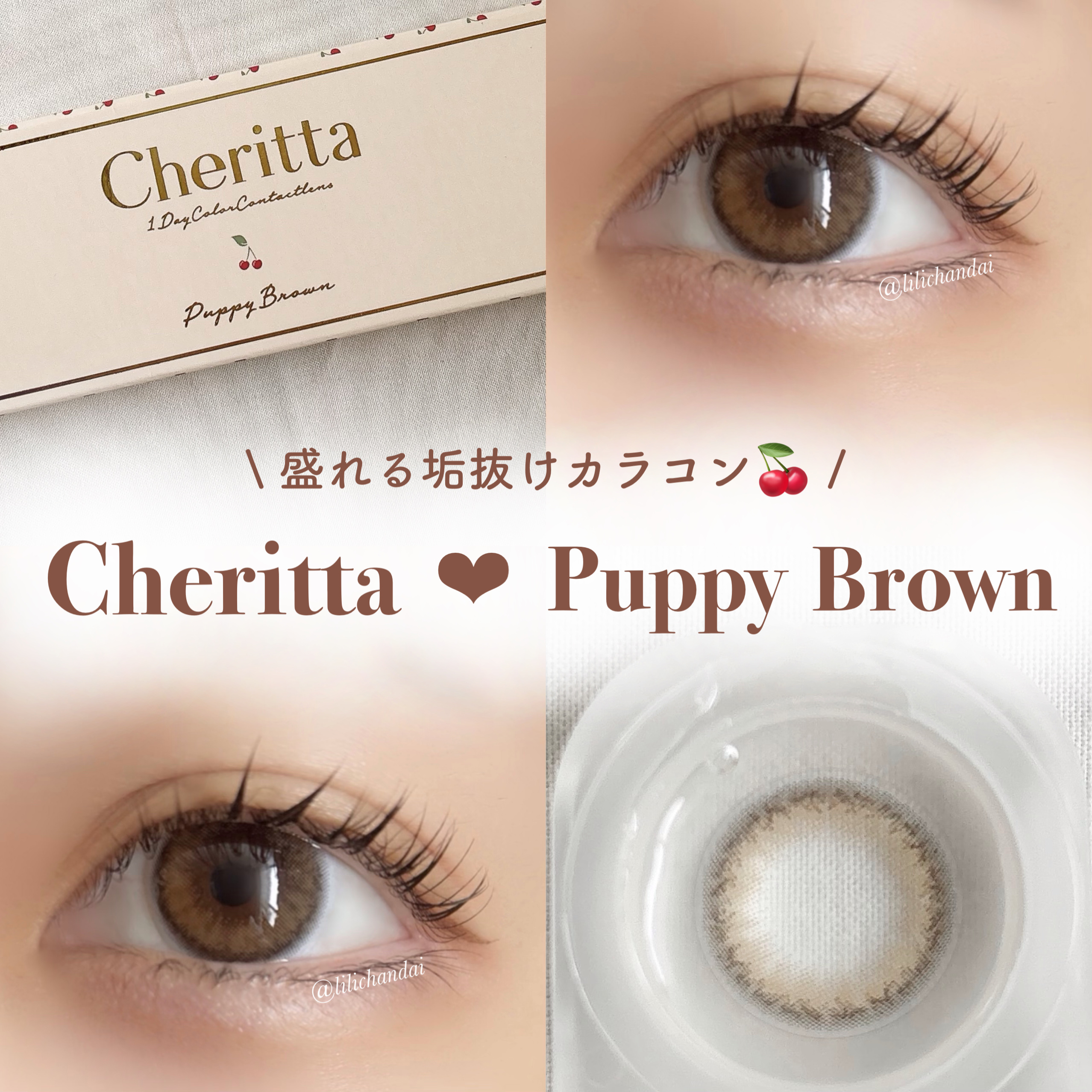 Cheritta 1day パピーブラウン(Puppy Brown)/Cheritta/ワンデー（１DAY）カラコンを使ったクチコミ（1枚目）