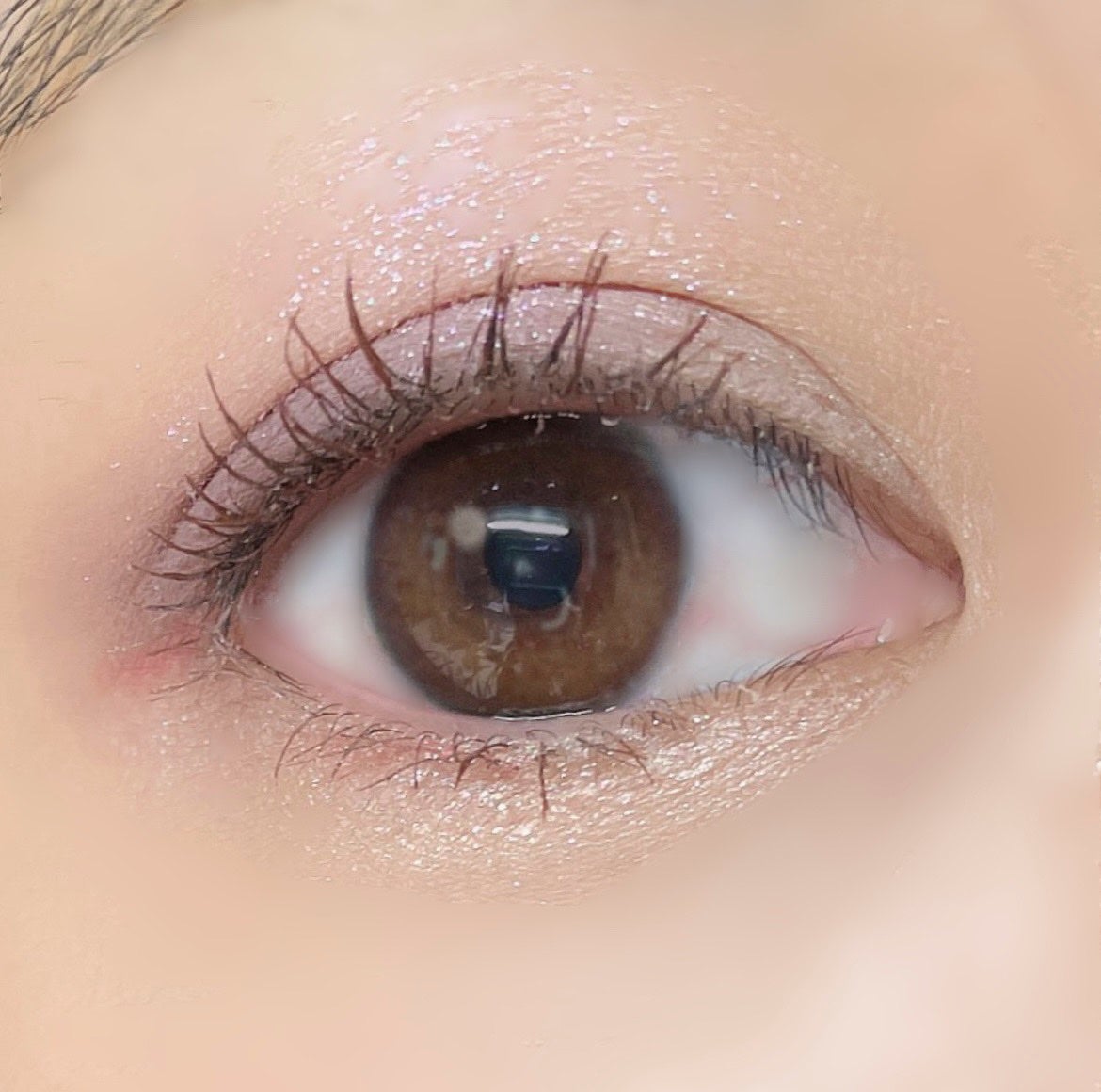 ムードブレンディングシャドウパレット/Coralhaze/アイシャドウパレットを使ったクチコミ(4枚目)