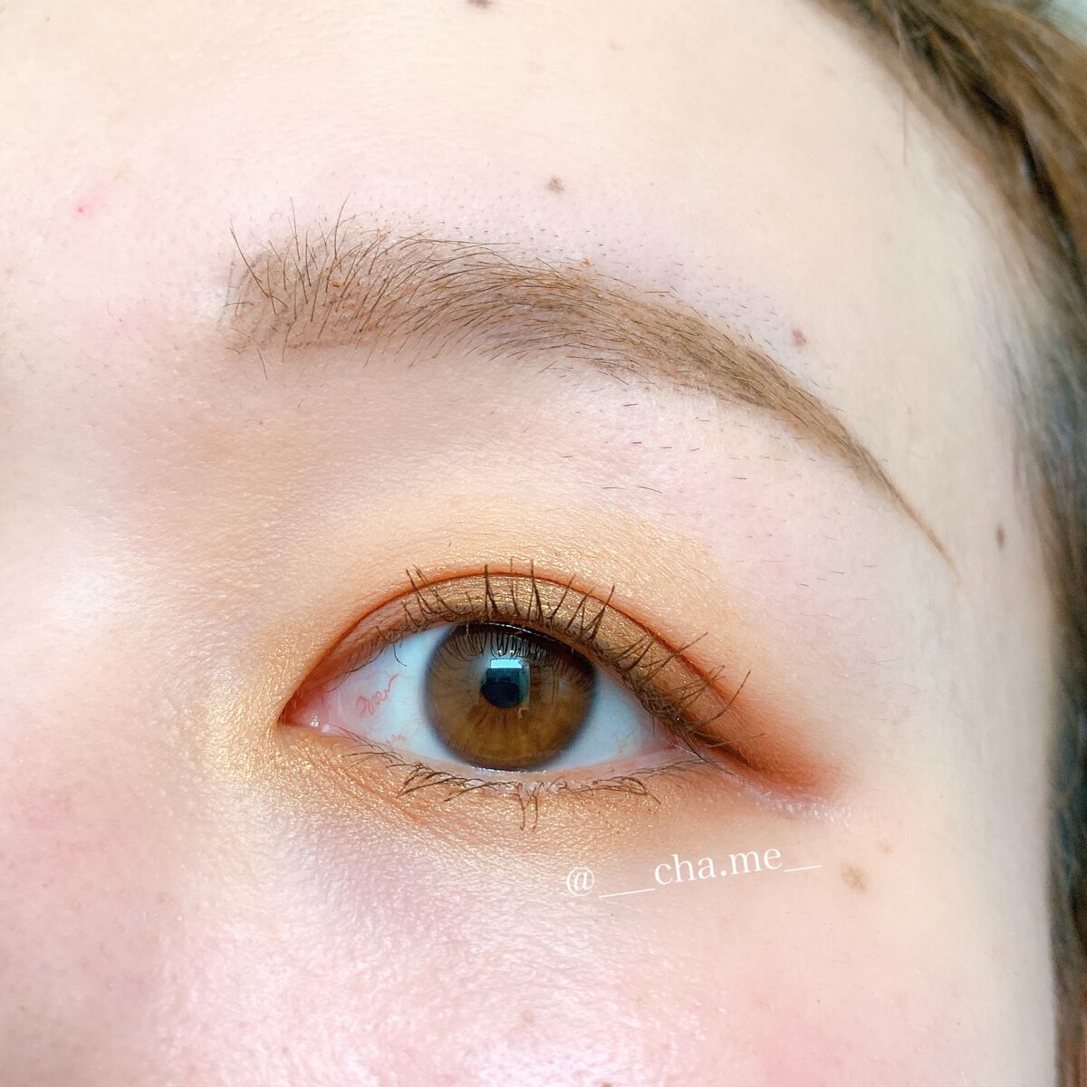 セルヴォーク インディケイトアイブロウマスカラ C 〈C〉01 パーシモン/Celvoke/眉マスカラを使ったクチコミ（2枚目）