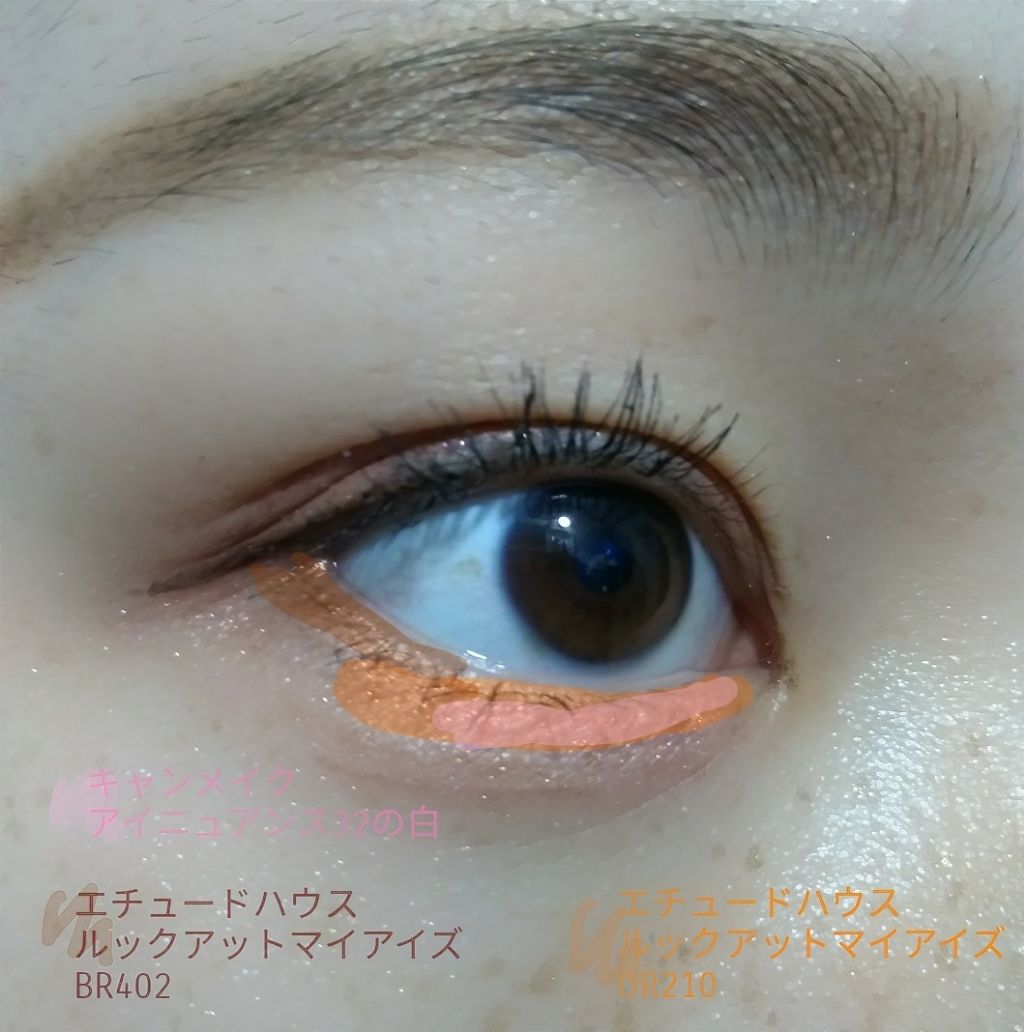 アイニュアンス/キャンメイク/アイシャドウパレットを使ったクチコミ（3枚目）