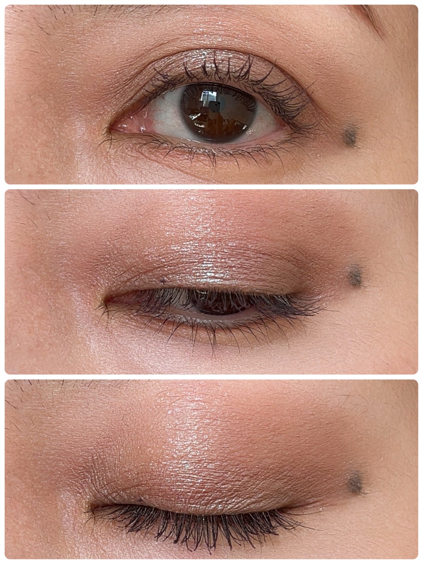 プレスド アイシャドー(レフィル)/shu uemura/単色アイシャドウを使ったクチコミ(2枚目)