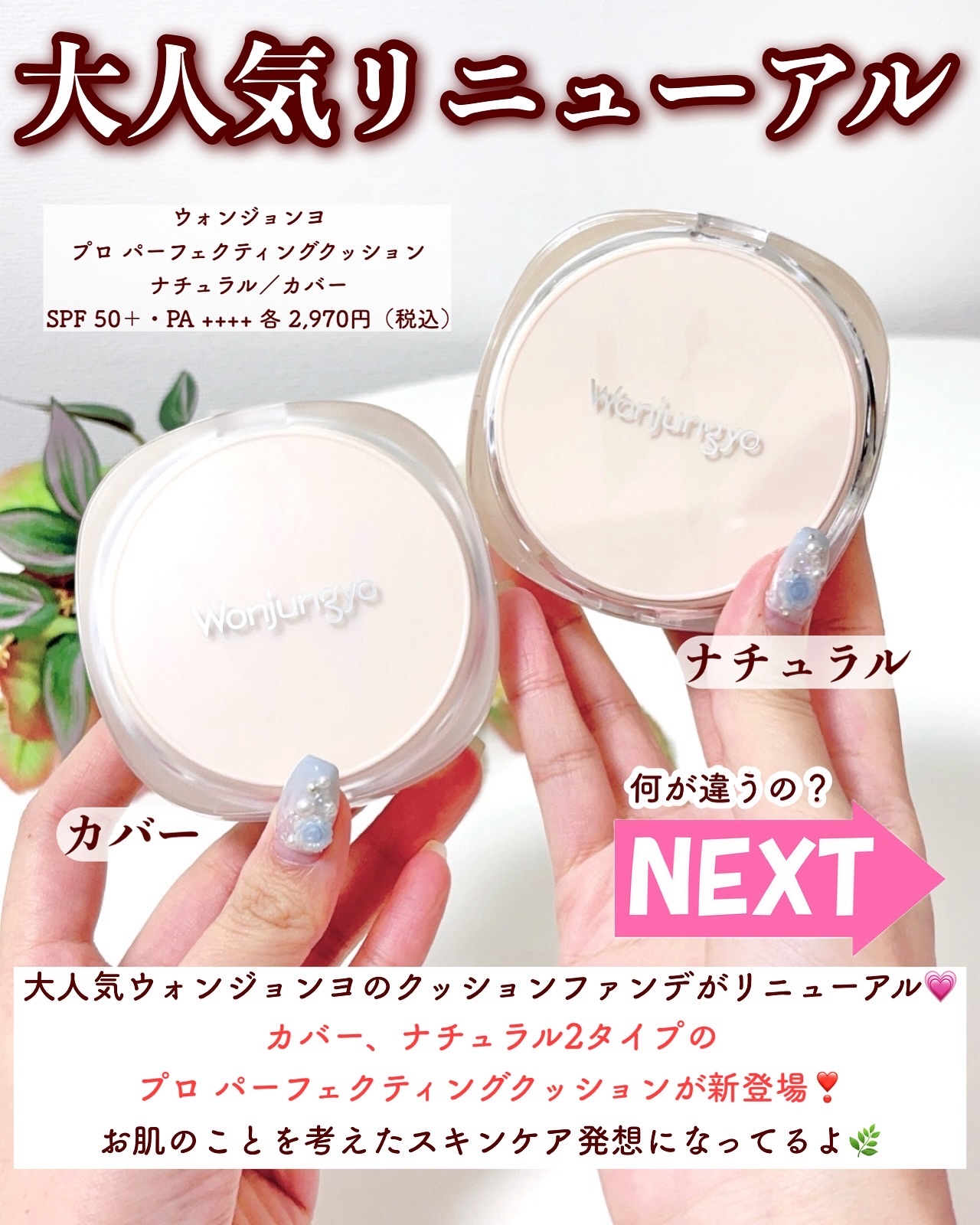 ウォンジョンヨ プロ パーフェクティングクッション カバー/Wonjungyo/クッションファンデーションを使ったクチコミ（3枚目）