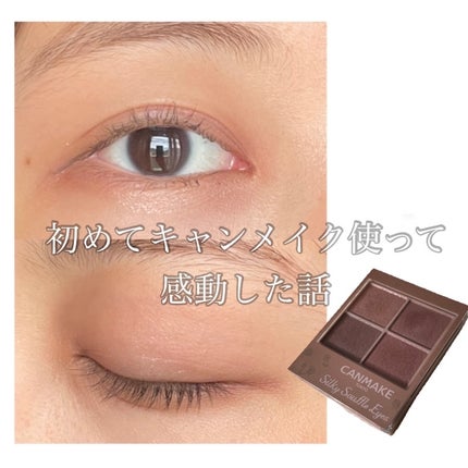 シルキースフレアイズ(マットタイプ)/キャンメイク/アイシャドウパレットを使ったクチコミ(1枚目)