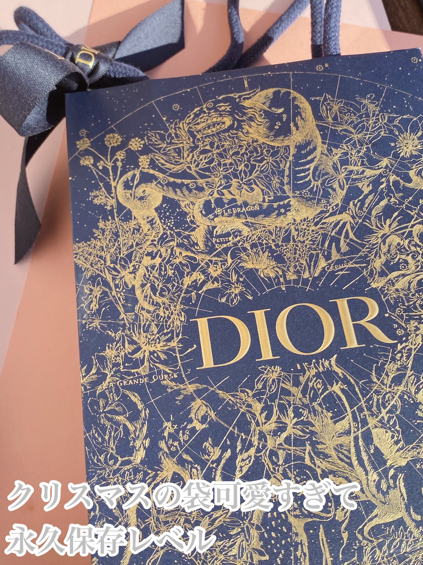 ディオール バックステージ フェイス グロウ パレット/Dior/ハイライトを使ったクチコミ(5枚目)
