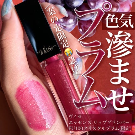 エッセンス リッププランパー/Visée/リッププランパーを使ったクチコミ(1枚目)