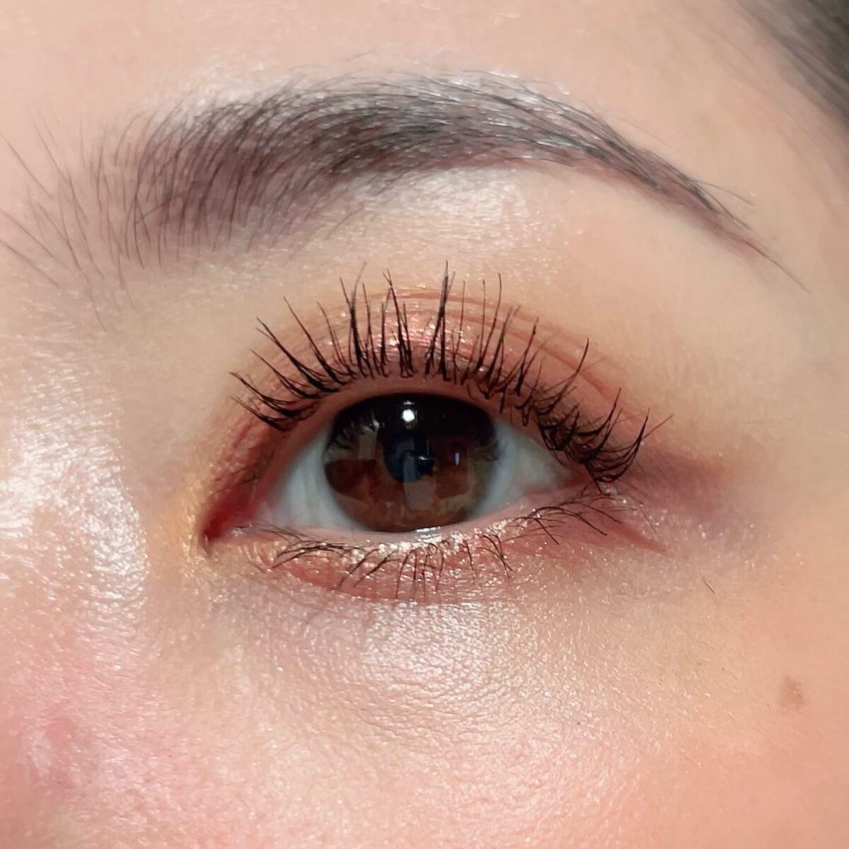 クリニーク チーク ポップ パレット 22/CLINIQUE/パウダーチークを使ったクチコミ（2枚目）