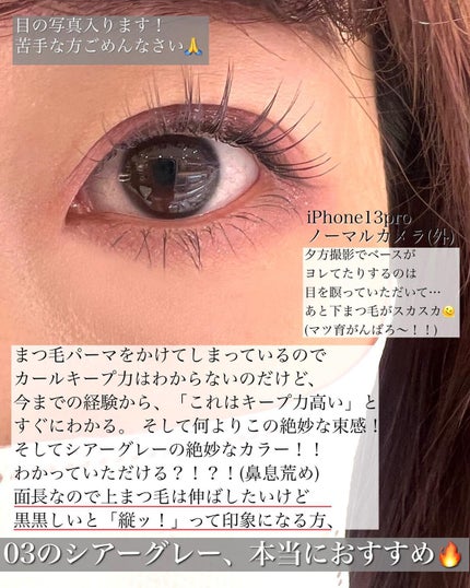 ウォンジョンヨ ヌードアイラッシュ/Wonjungyo/マスカラを使ったクチコミ(4枚目)