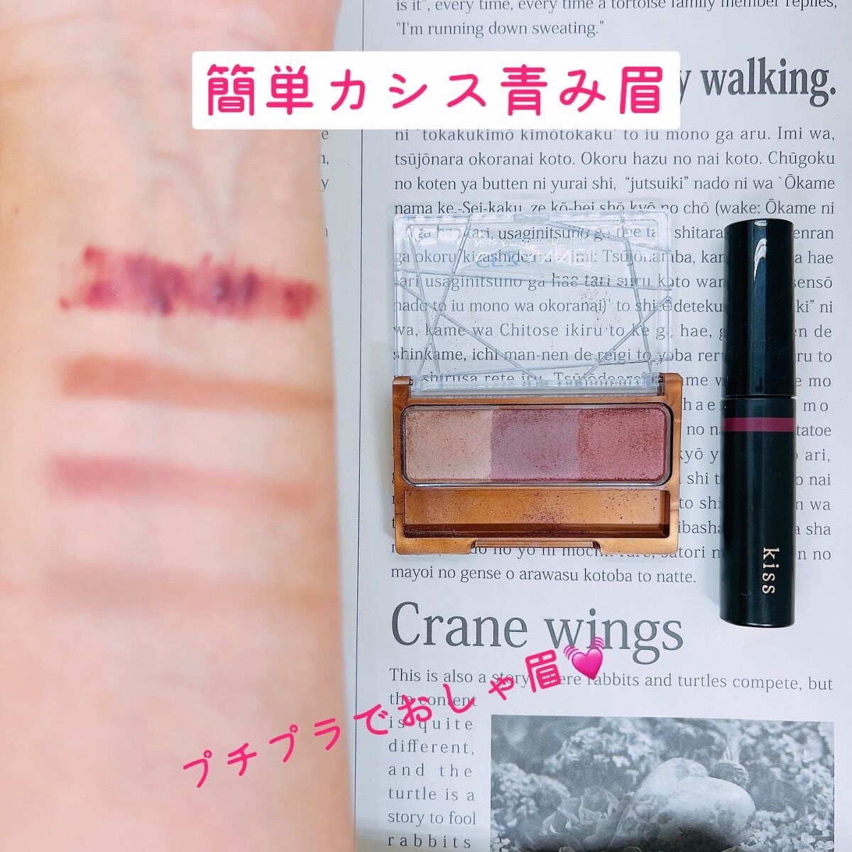 ノーズ&アイブロウパウダー/CEZANNE/パウダーアイブロウを使ったクチコミ(6枚目)