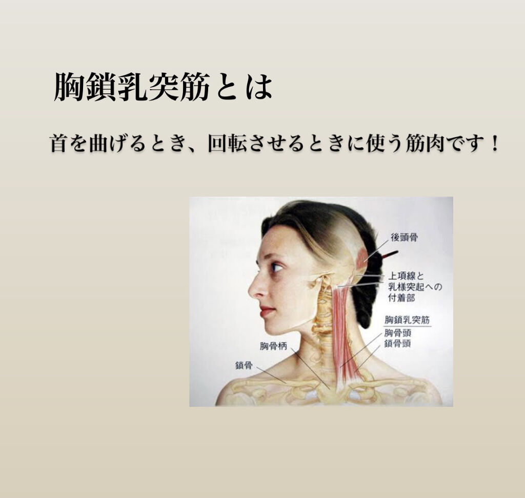 かっさプレート/DAISO/かっさプレートを使ったクチコミ（2枚目）