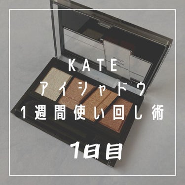 デザイニングブラウンアイズ/KATE/アイシャドウパレットを使ったクチコミ（1枚目）