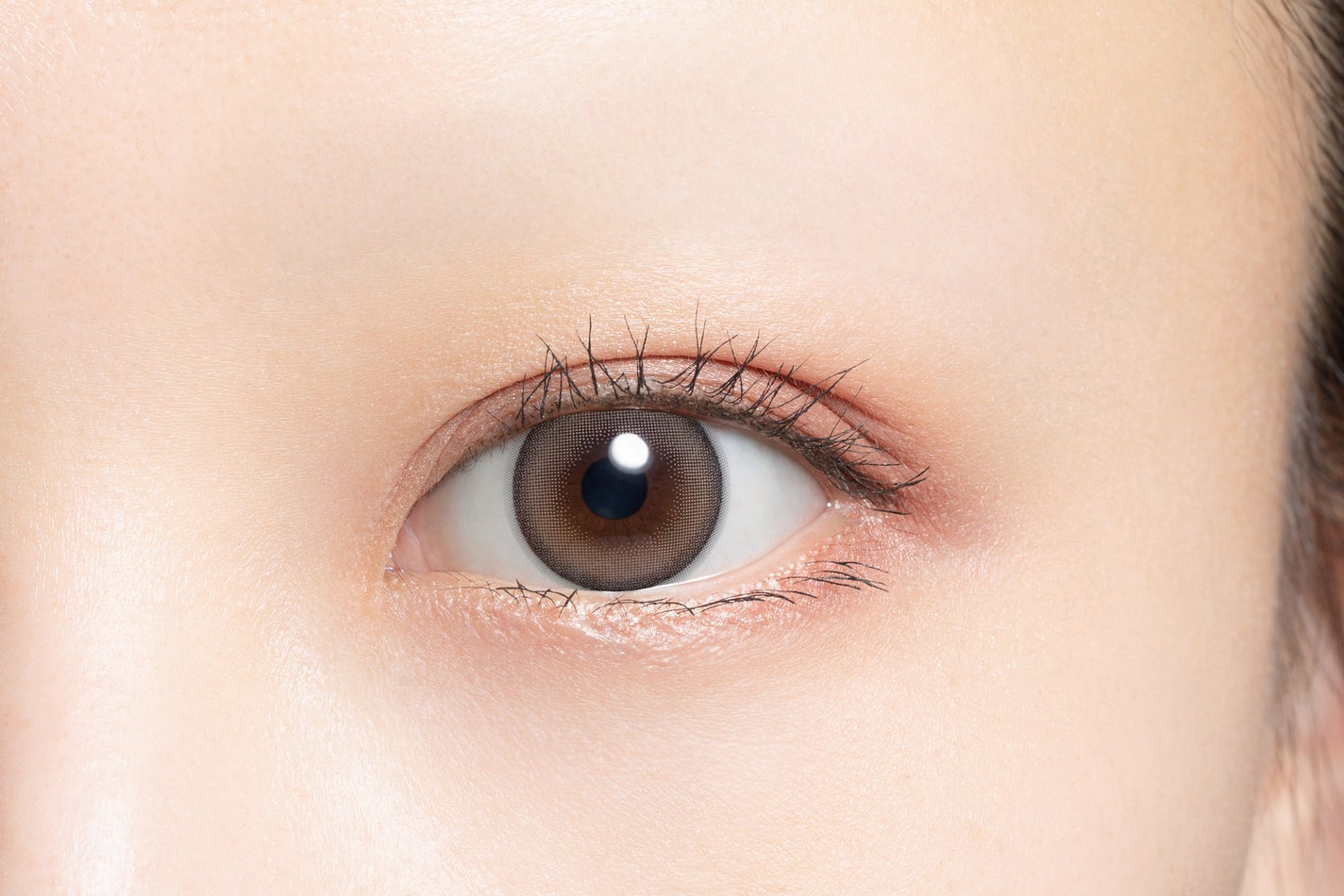 HARNE 1day フィナンシェ