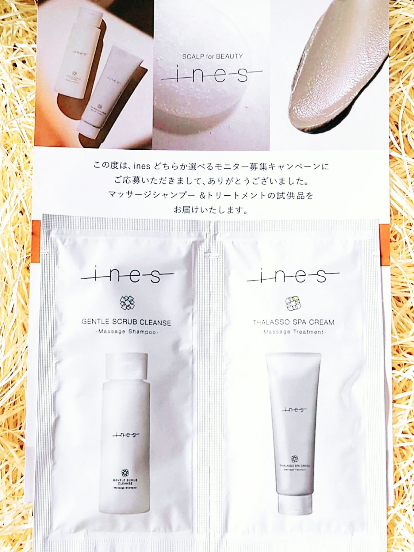 ジェントル スクラブ クレンズ/ines/市販シャンプーを使ったクチコミ（1枚目）