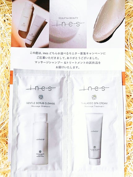 ジェントル スクラブ クレンズ/ines/市販シャンプーを使ったクチコミ(1枚目)