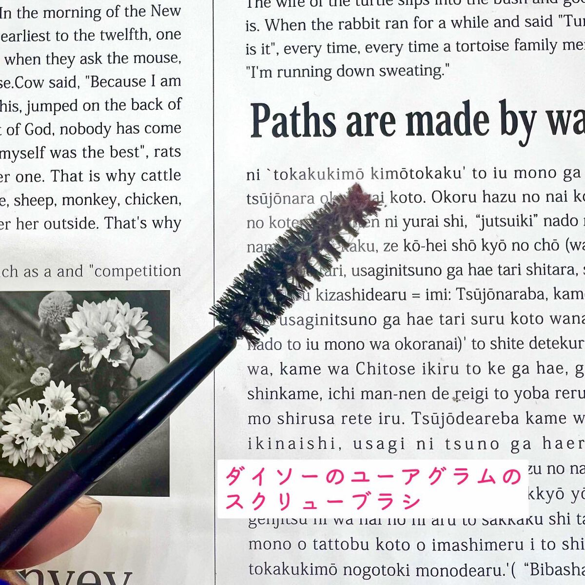 ノーズ&アイブロウパウダー/CEZANNE/パウダーアイブロウを使ったクチコミ(5枚目)