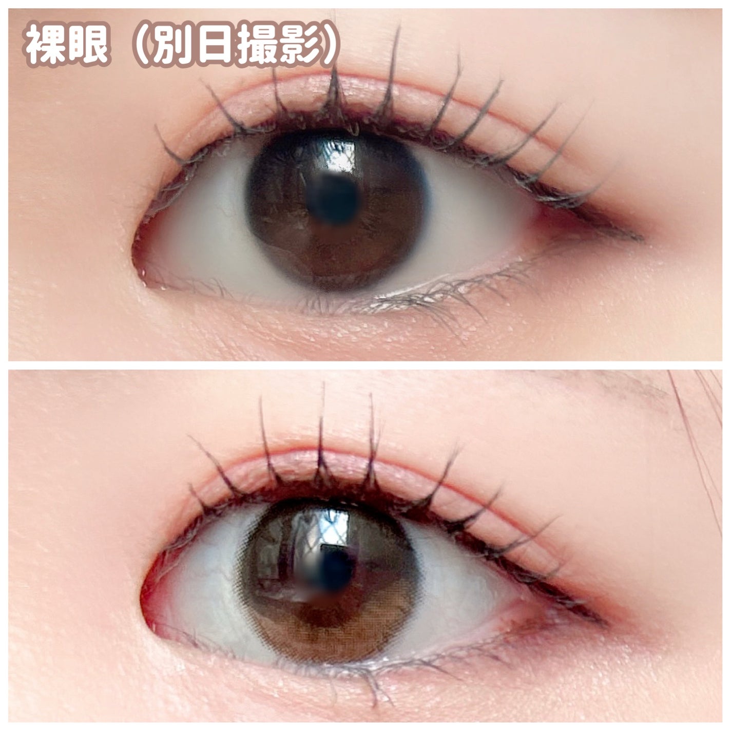 N’s COLLECTION 1day/N’s COLLECTION/ワンデー(1DAY)カラコンを使ったクチコミ(3枚目)